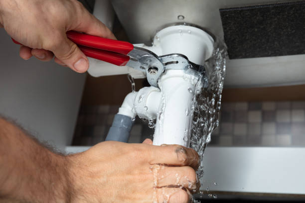 Best Basement water damage restoration  in Danvers, IL