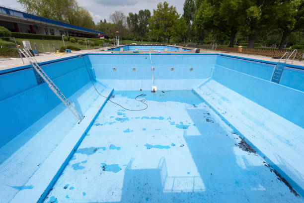 Best Water damage cleanup near me  in Danvers, IL