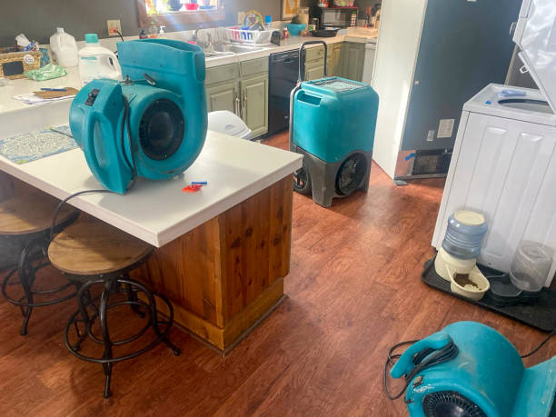 Best Sewage cleanup and water damage restoration  in Danvers, IL