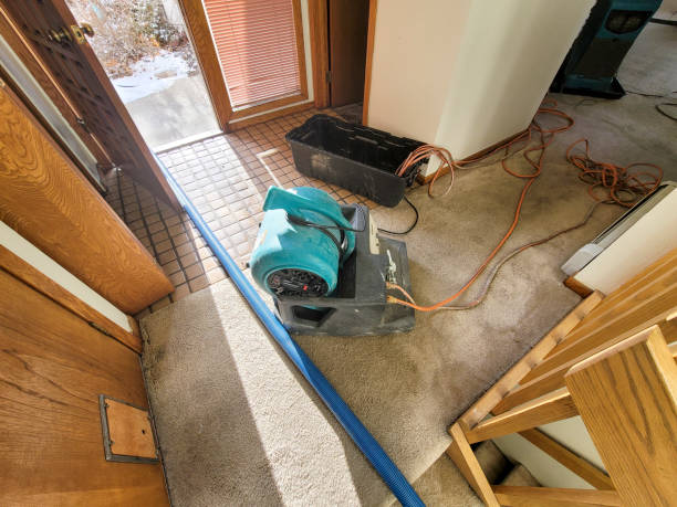 Best 24-hour water damage restoration  in Danvers, IL
