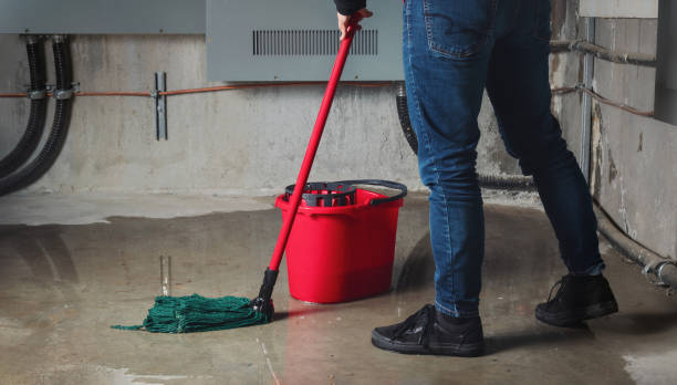 Best Commercial water damage restoration  in Danvers, IL