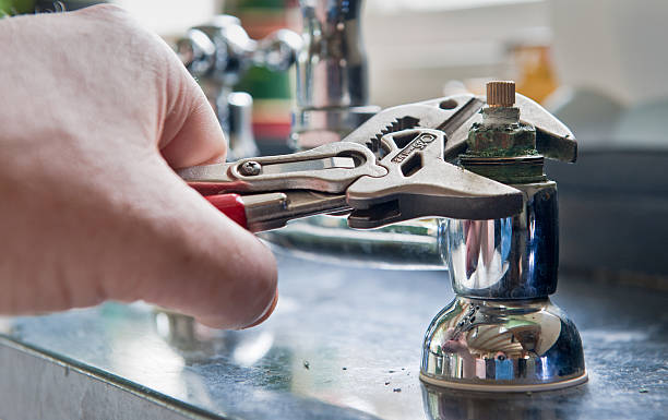 Best Local water damage restoration  in Danvers, IL