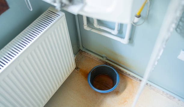Best Professional water damage repair  in Danvers, IL
