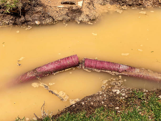 Water damage restoration experts in IL