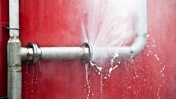 Best 24/7 water damage repair  in Danvers, IL